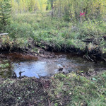 Byte av broar
