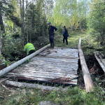 Byte av broar