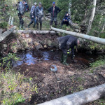 Byte av broar