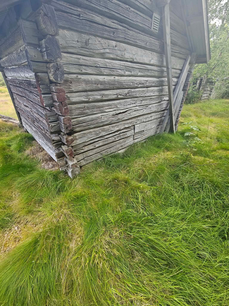 Underhåll av stugan i Storåsen
