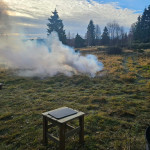 Städning