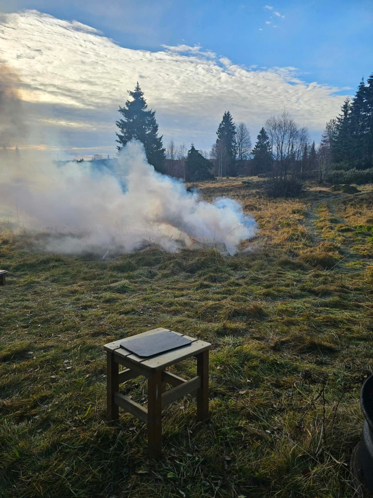 Städning
