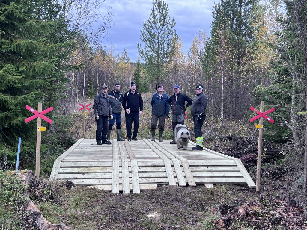 Bygge av två broar Österhållbäcken