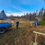 Städning